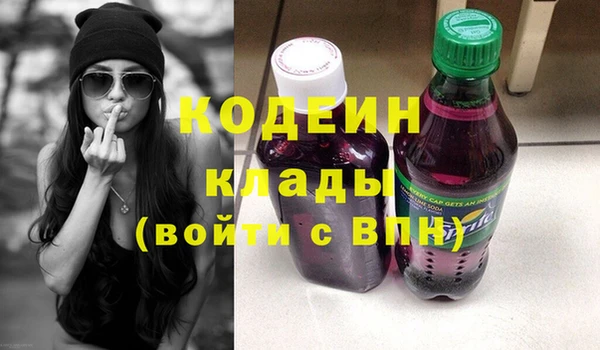 хмурый Абаза