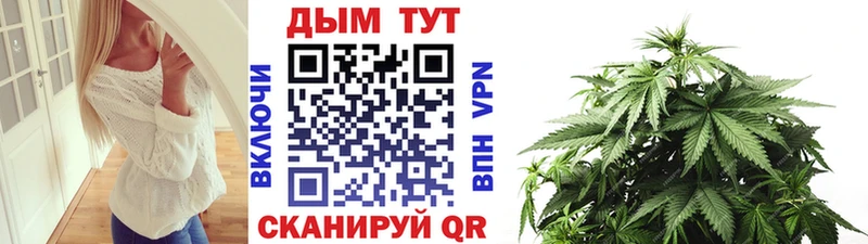 Конопля сатива  kraken онион  Сычёвка 